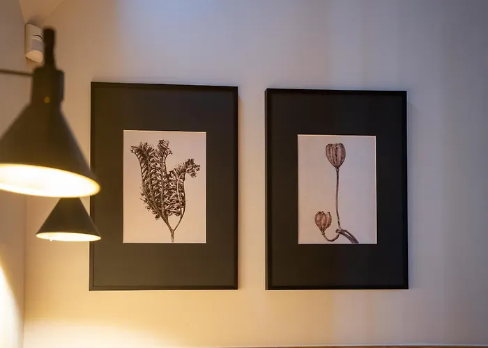 Modra Czapla 别墅 *